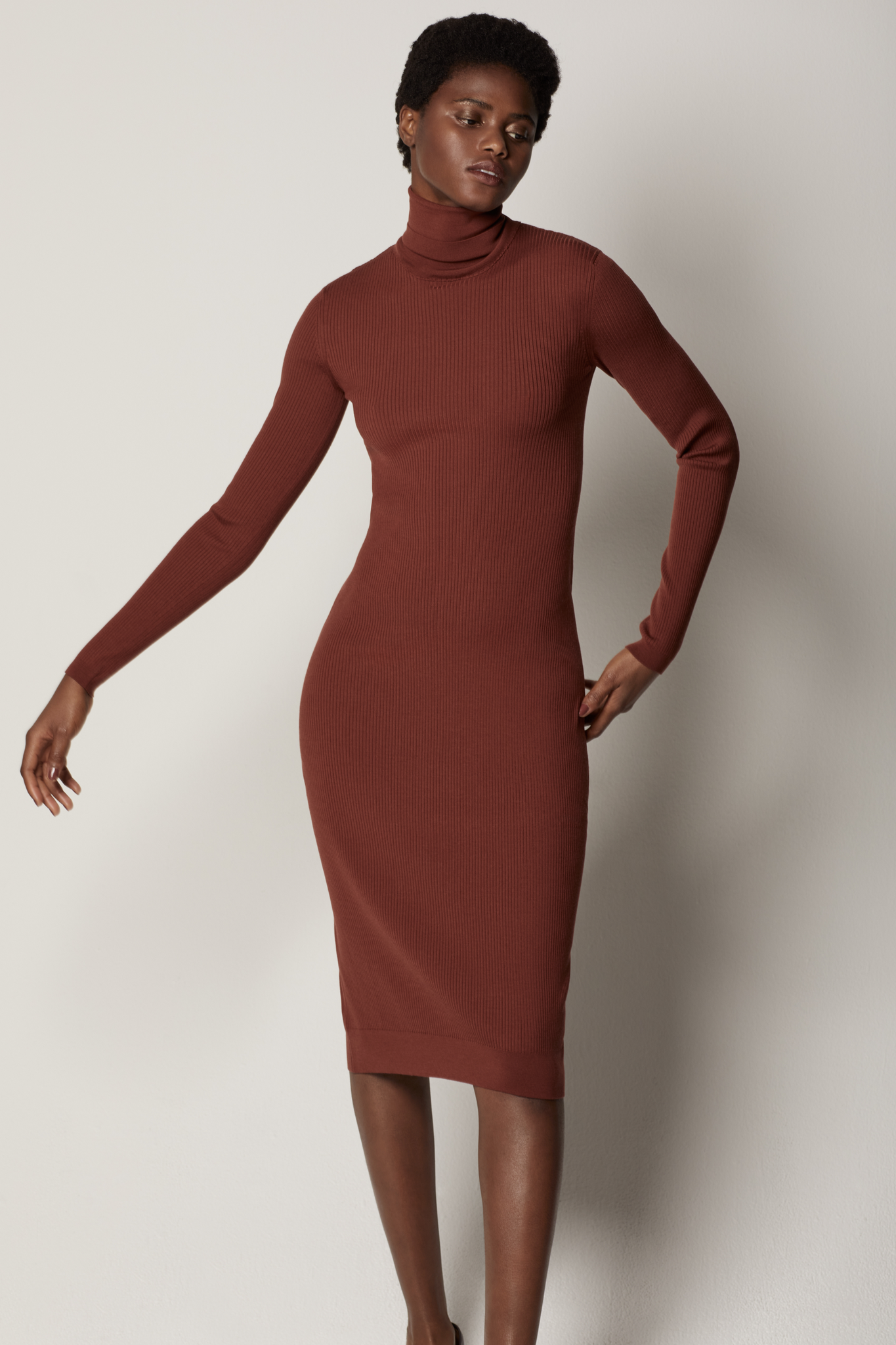 Another Tomorrow Turtleneck Sweater Dress In Rust